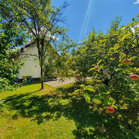 Villa Tetmajera View&Garden Dębica Exterior foto